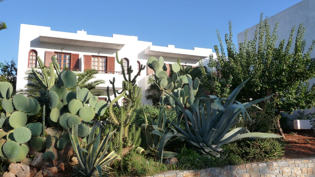 Garten Sentido Kyknos Beach Adults Only 16+