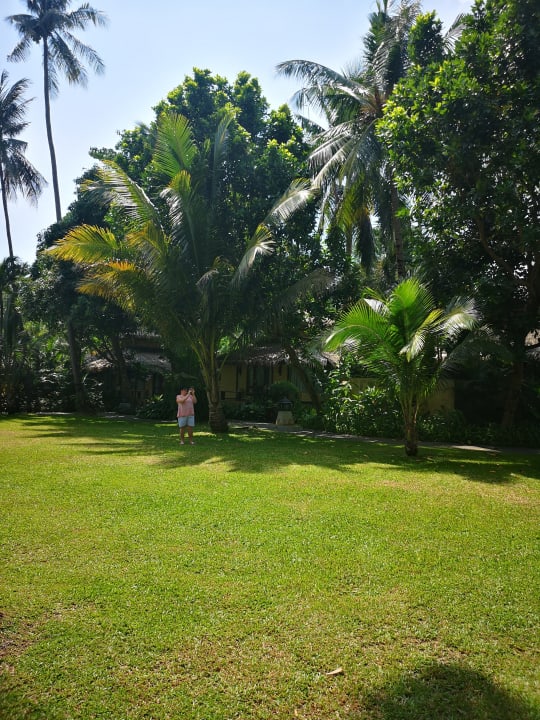 Gartenanlage Centara Koh Chang Tropicana Resort