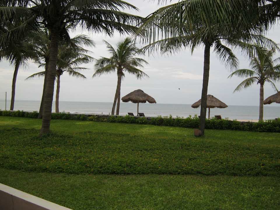 Trees and Beach Umbrellas Ana Mandara Hue Beach Resort & Spa