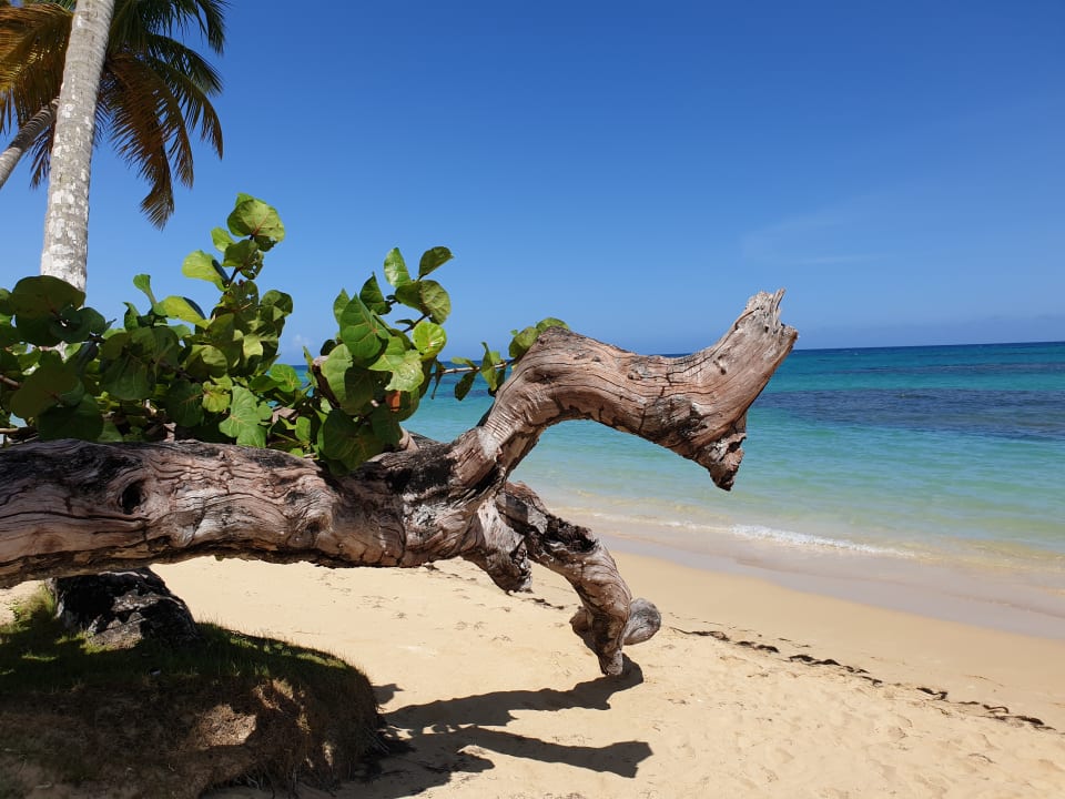 Strand Bahia Principe Grand El Portillo