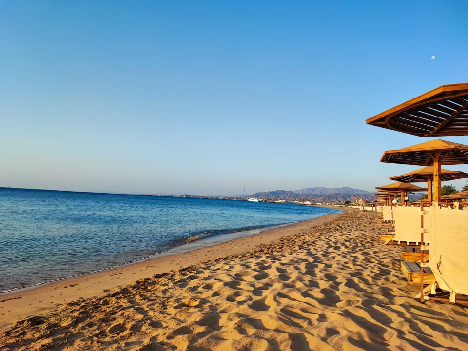 Strand Shams Prestige Abu Soma-Adults Only