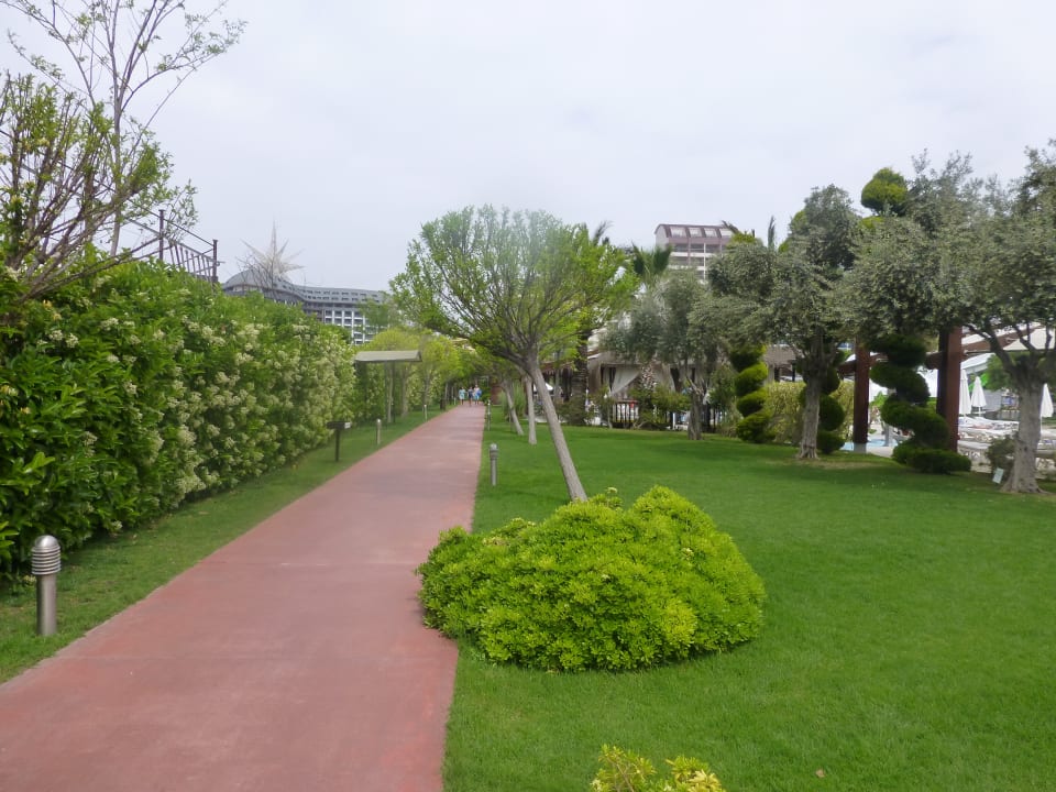 Garten Saturn Palace Resort Hotel