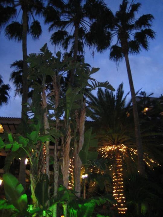 Anlage Hotel Parque Tropical