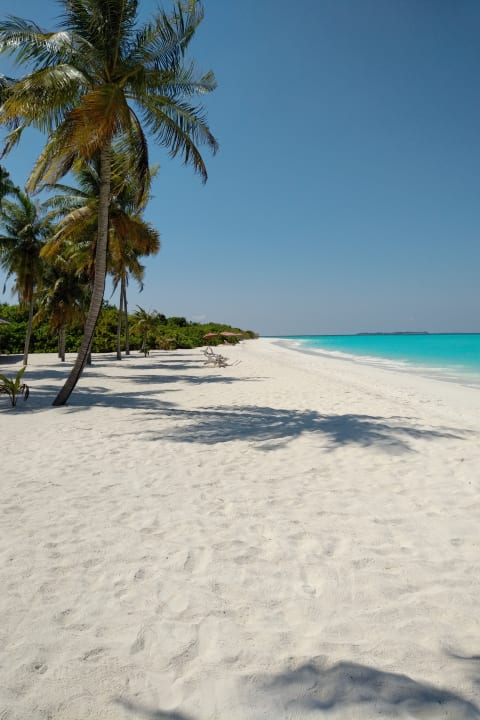 Strand Hondaafushi Island Resort