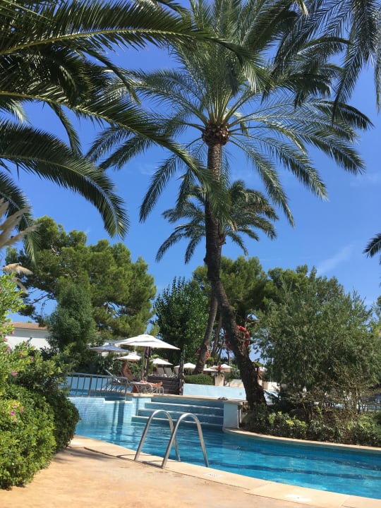 Pool Prinsotel La Dorada