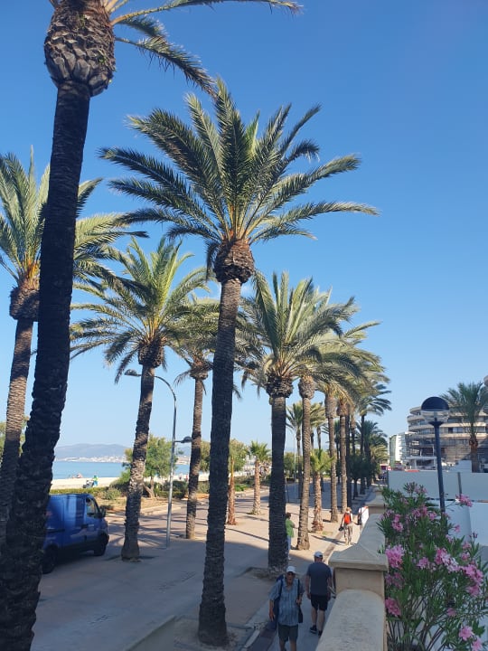 Ausblick allsun Hotel Pil-lari Playa