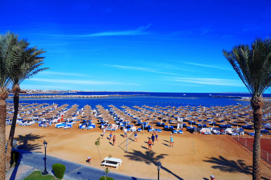 Dana Beach Resort Bilder: Malen am Strand!