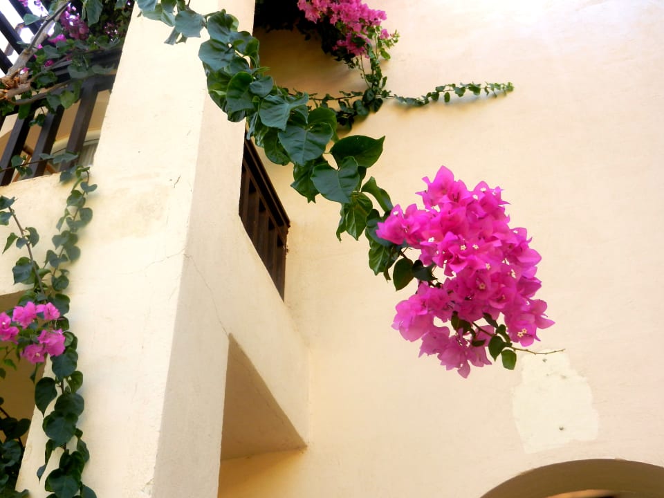 Gartenanlage The Grand Hotel Sharm El Sheikh