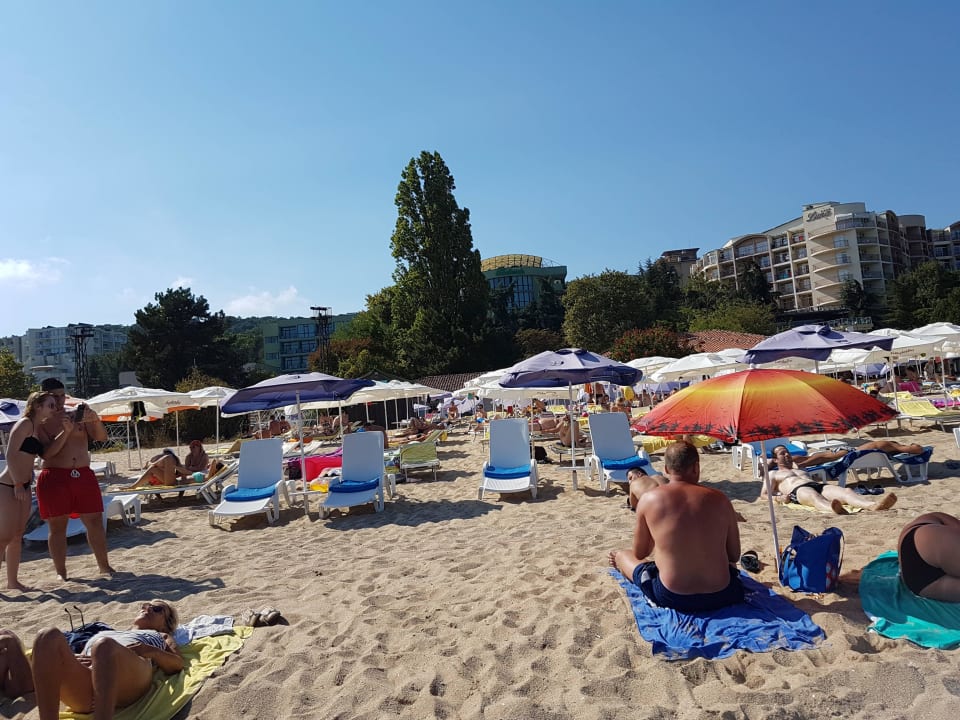 Schön HVD Viva Club Hotel