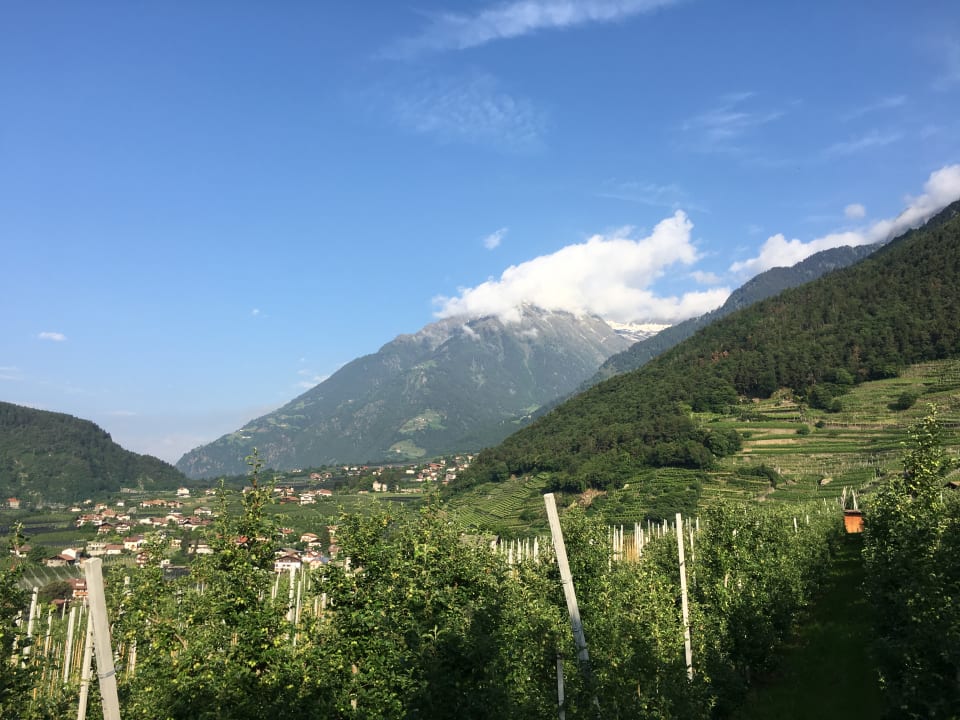Ausblick Residence Lichtenberg