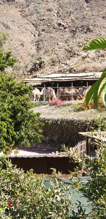 Außenansicht Bio Finca - Las Tenerías