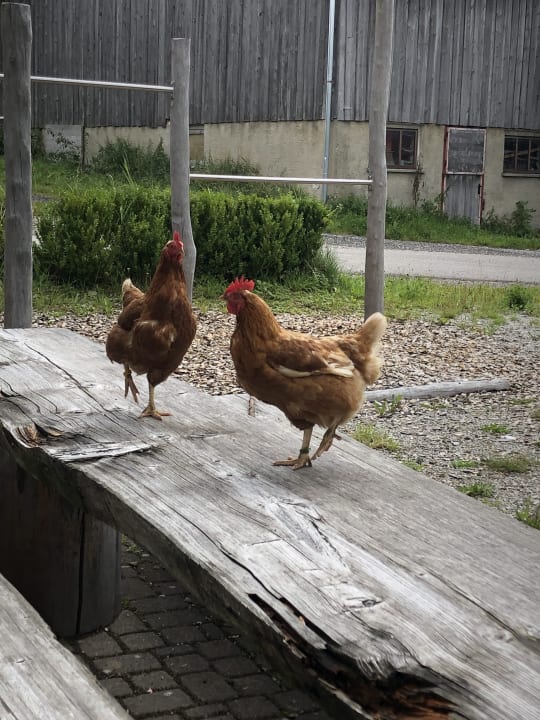 Außenansicht Ferienhof Baldauf