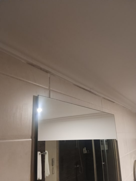 Zimmer Crystal Prestige Elite