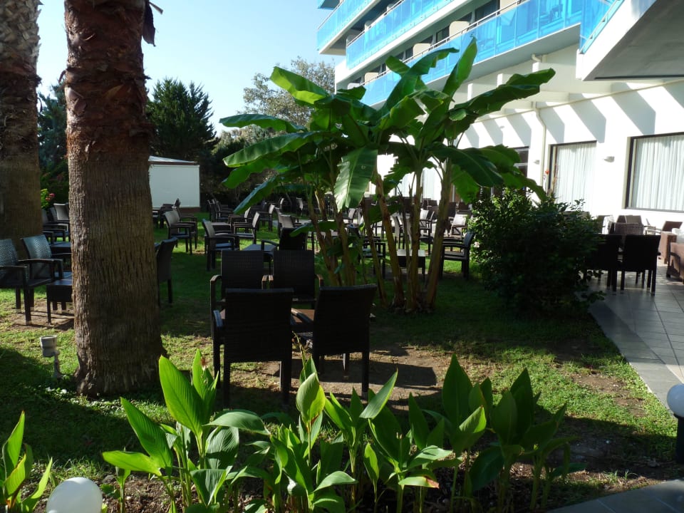 Garten Hotel Calypso Beach