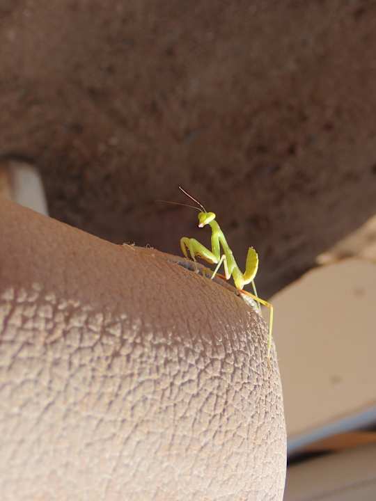 Sonstiges Brayka Bay Resort