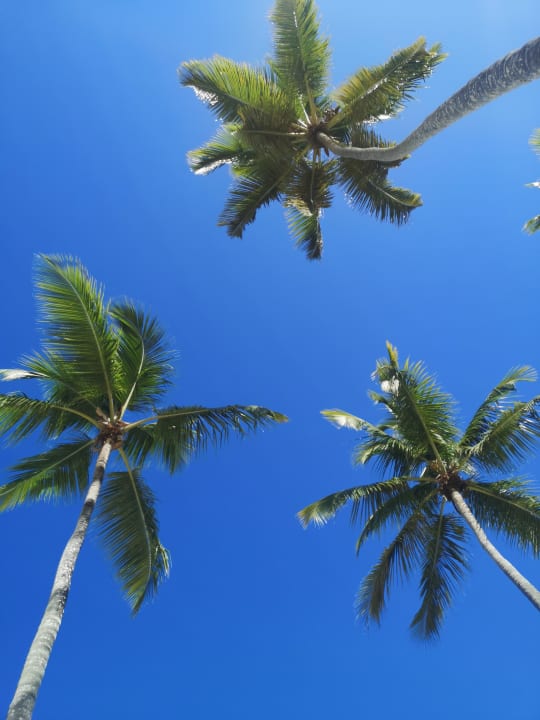 Ausblick Wyndham Alltra Samana