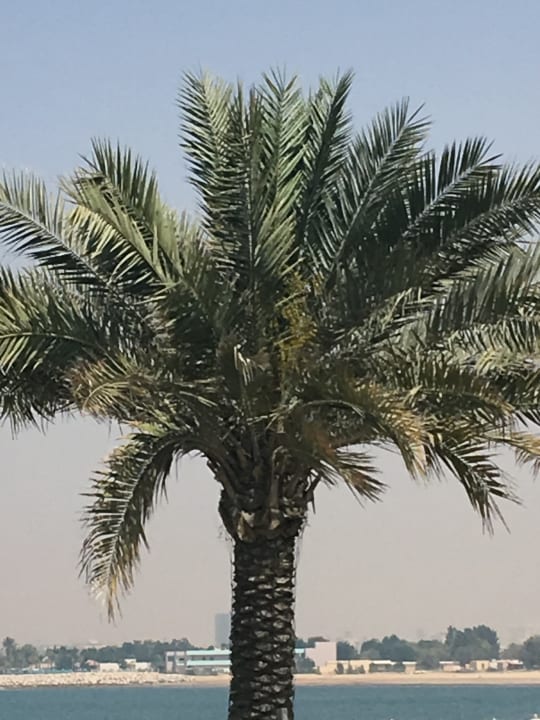 Gartenanlage Rixos Bab Al Bahr