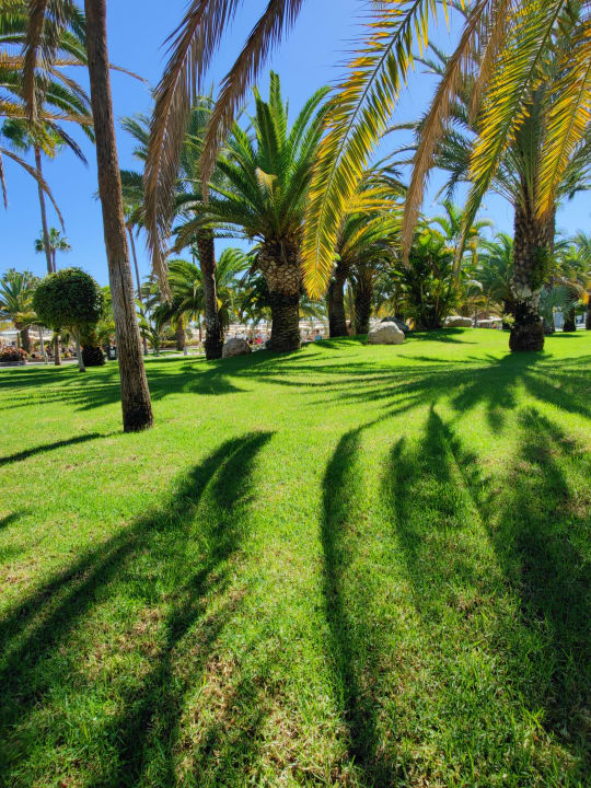 Gartenanlage Hotel Riu Gran Canaria