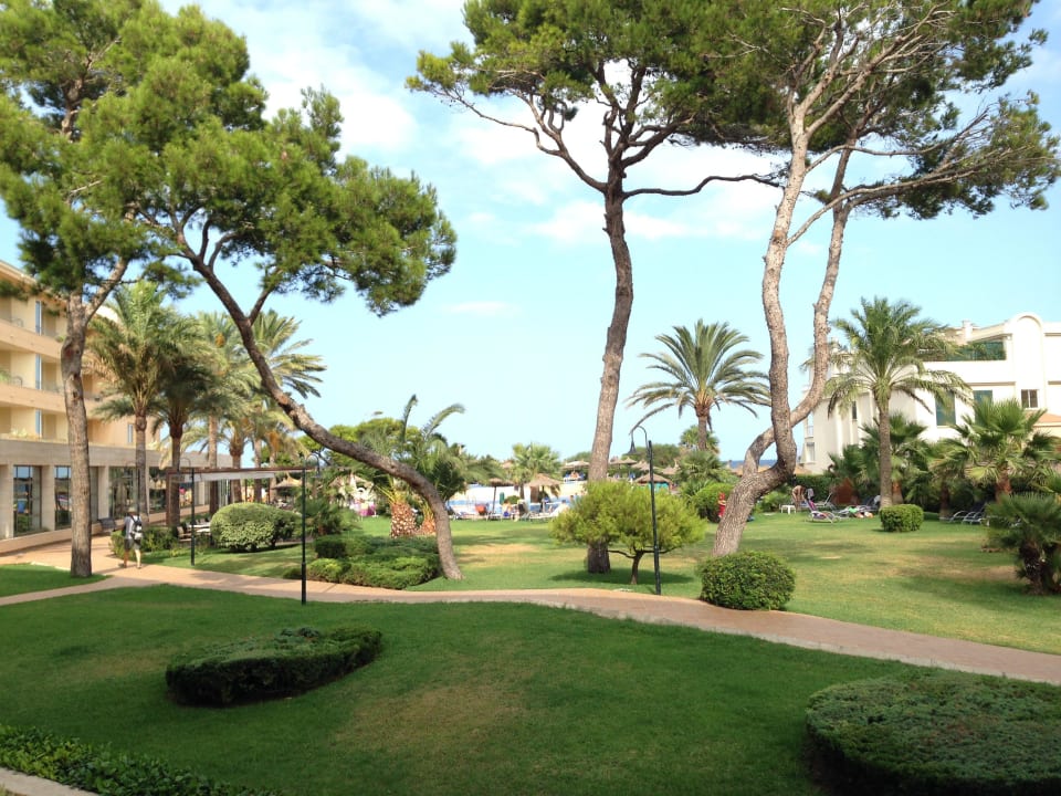 Blick vom Balkon Grupotel Natura Playa