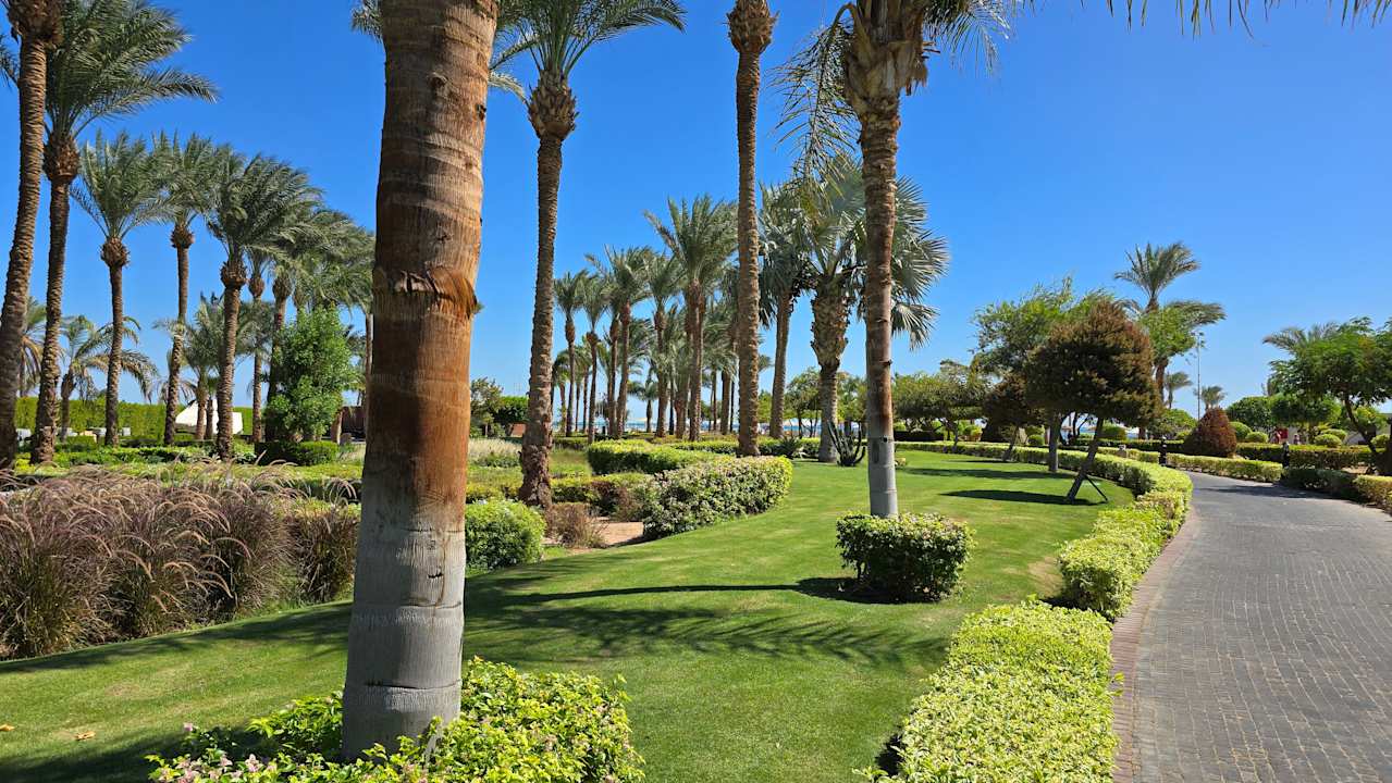 Gartenanlage Steigenberger ALDAU Beach Hotel