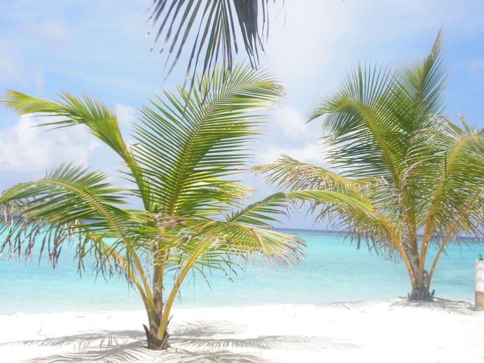 Einfach nur zum Träumen Summer Island Maldives