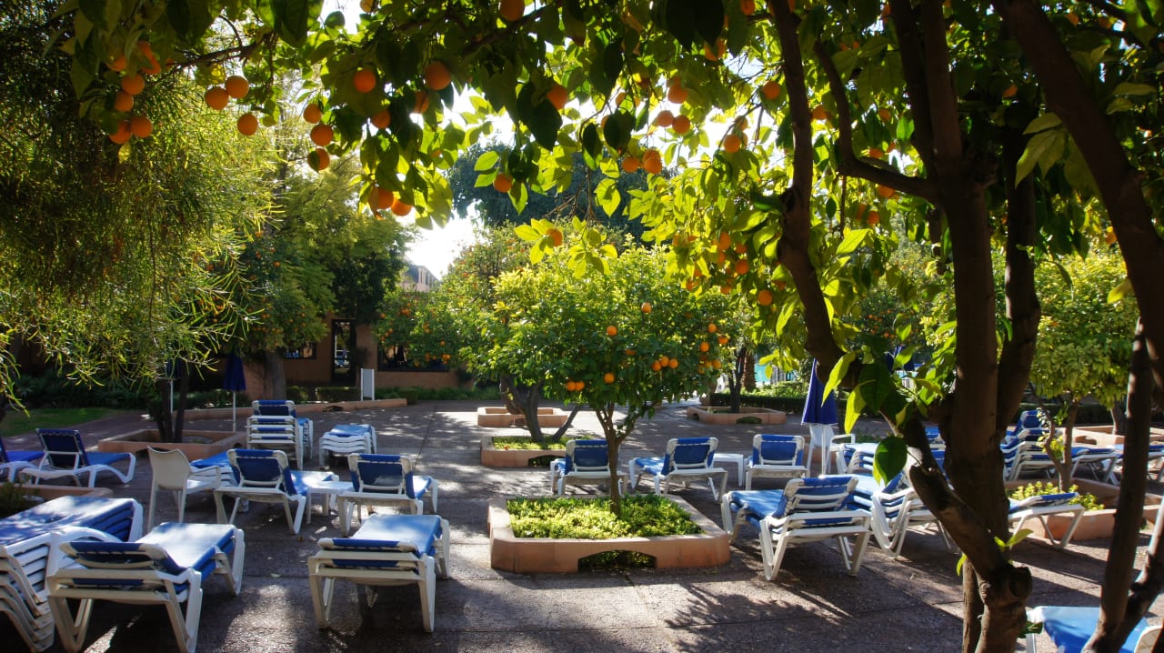 Orangengarten Hotel Riu Tikida Garden - Adults Only