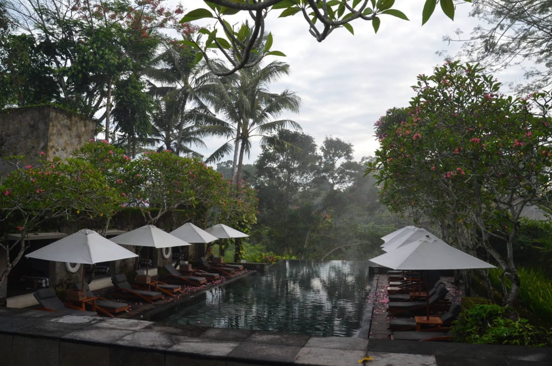Pool im Morgennebel Maya Ubud Resort & Spa Bali