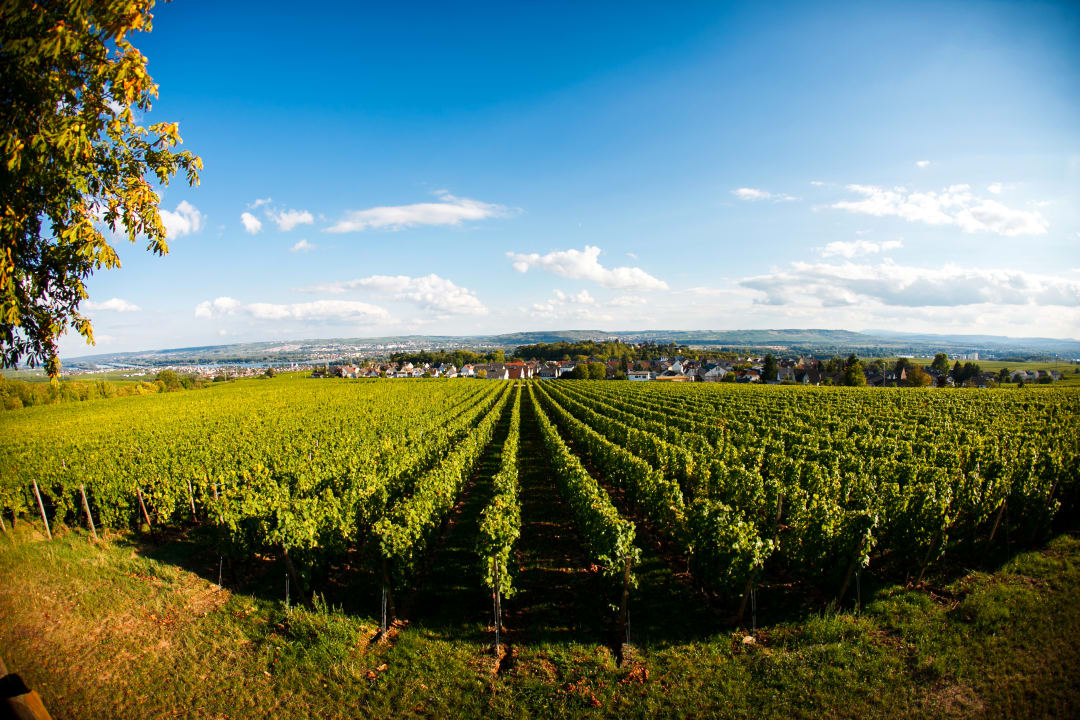 Ausblick Relais & Châteaux Hotel Burg Schwarzenstein