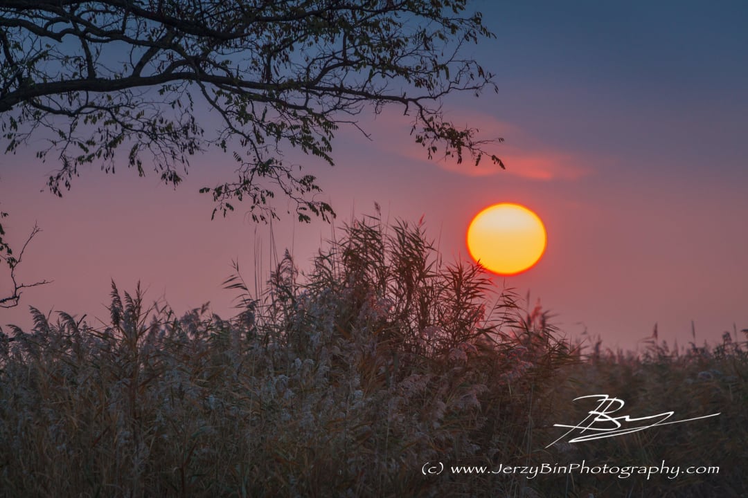 Sonnenuntergang Weingut & Landhaus Willi Opitz