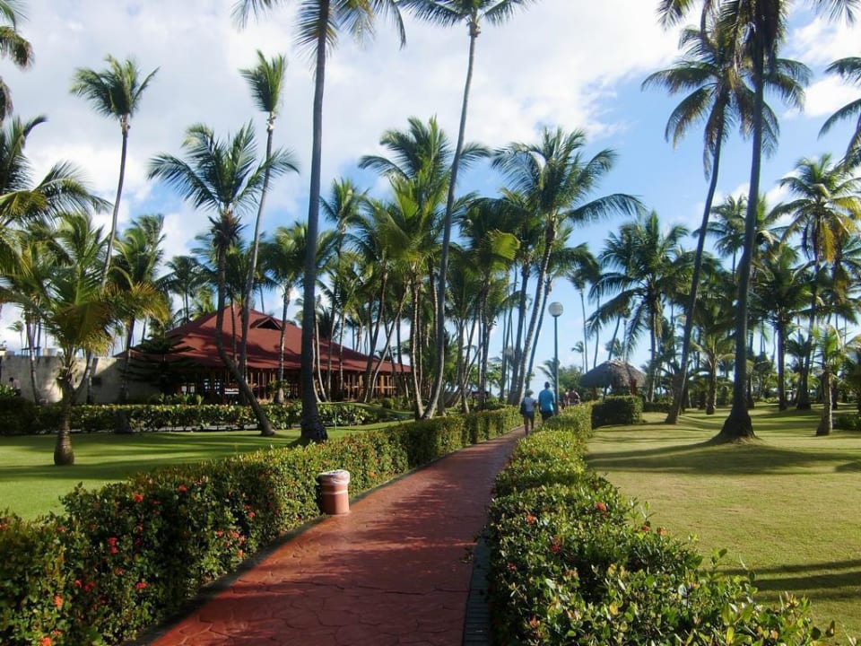 Weg zum Hotelstrand Bavaro Grand Palladium Select Bávaro Resort & Spa