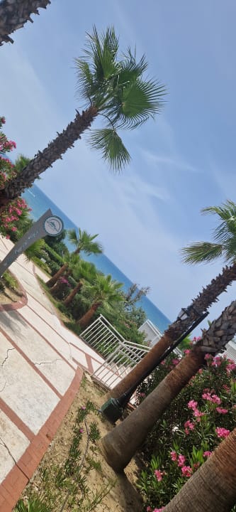 Gartenanlage Alba Resort Hotel