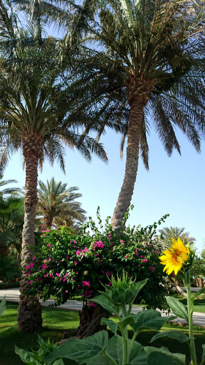 Außenansicht Brayka Bay Resort