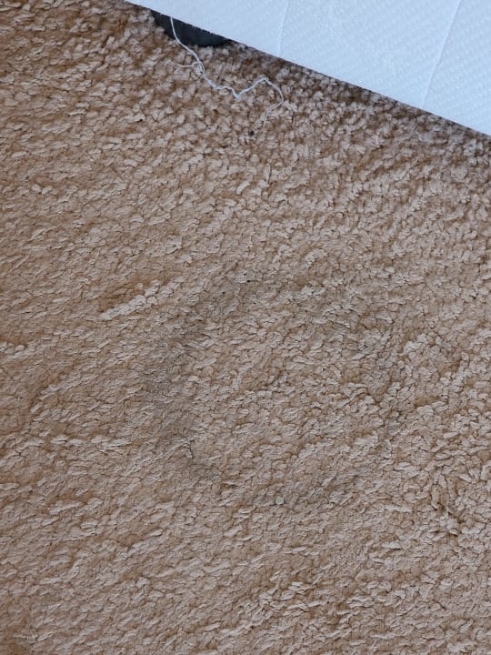 Zimmer Hotel Sineva Beach