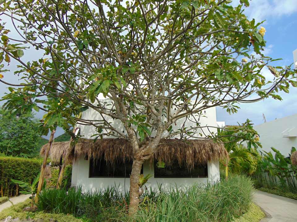 Gartenanlage Amber Lombok Beach Resort