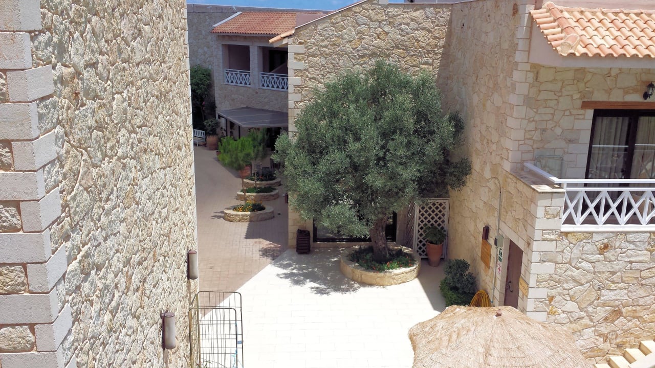 Blick vom Zimmer 421 Cactus Royal