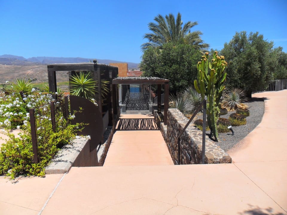 11. Stock Salobre Hotel Resort & Serenity