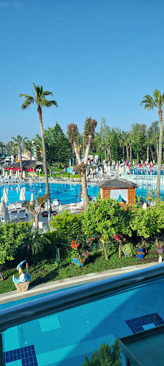 Pool Hotel Delphin Imperial