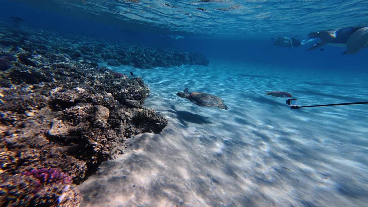 Sonstiges Fort Arabesque Resort, Spa & Villas