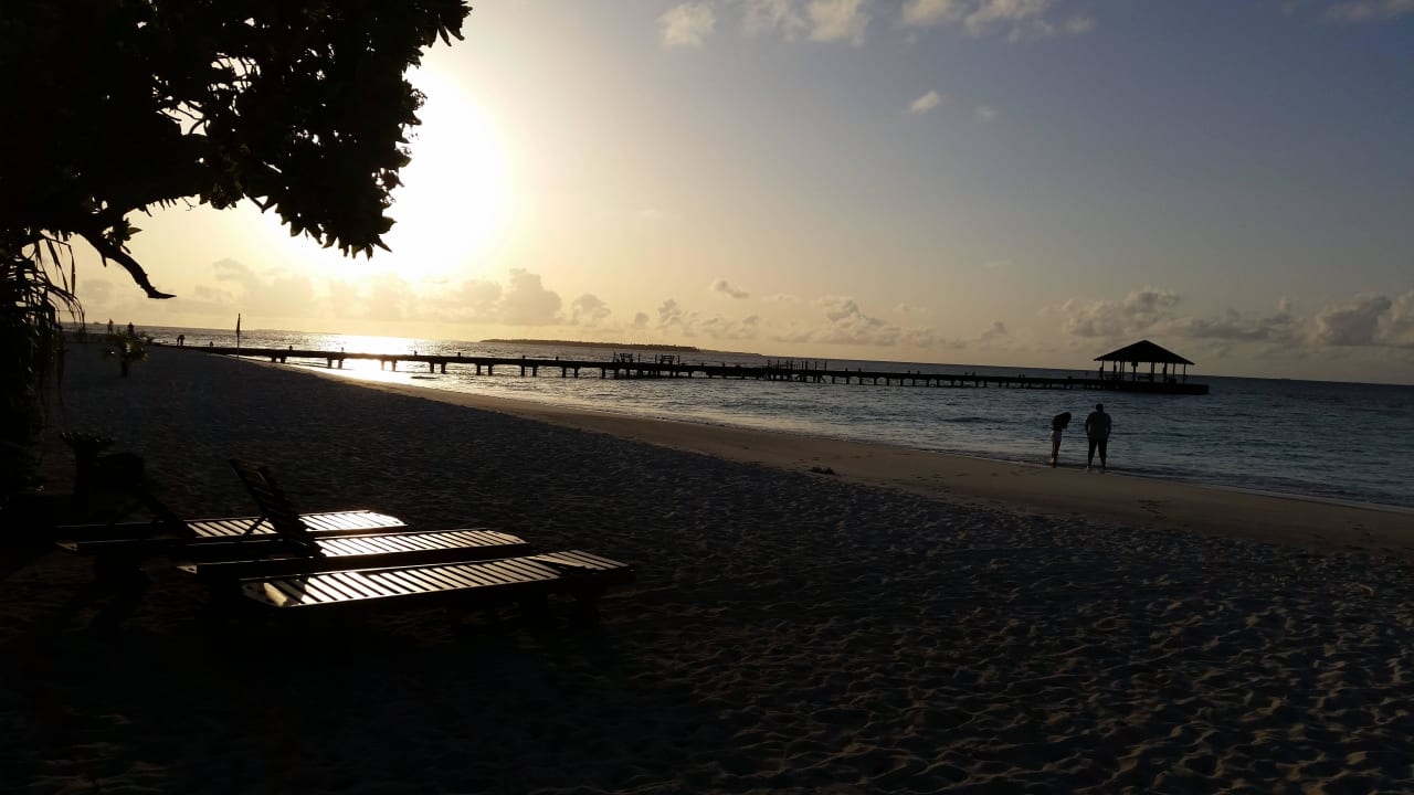 Strand vor Pool Adaaran Select Meedhupparu Island Resort - Premium All Inclusive