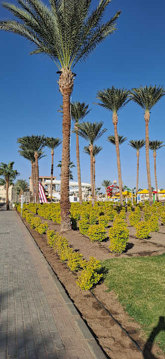 Gartenanlage Pickalbatros Palace Resort