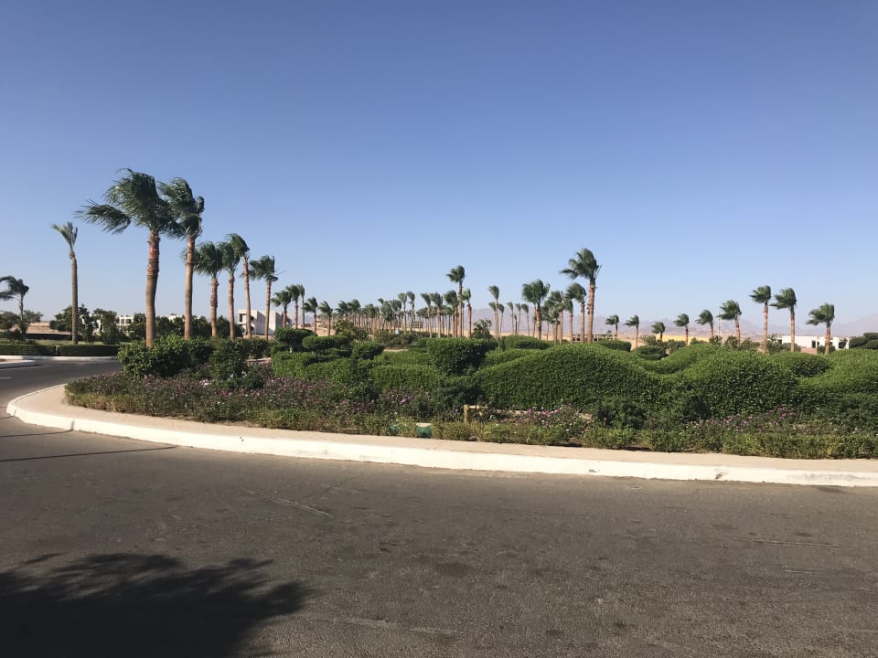 Einfahrt Bereich  Cleopatra Luxury Resort Makadi Bay
