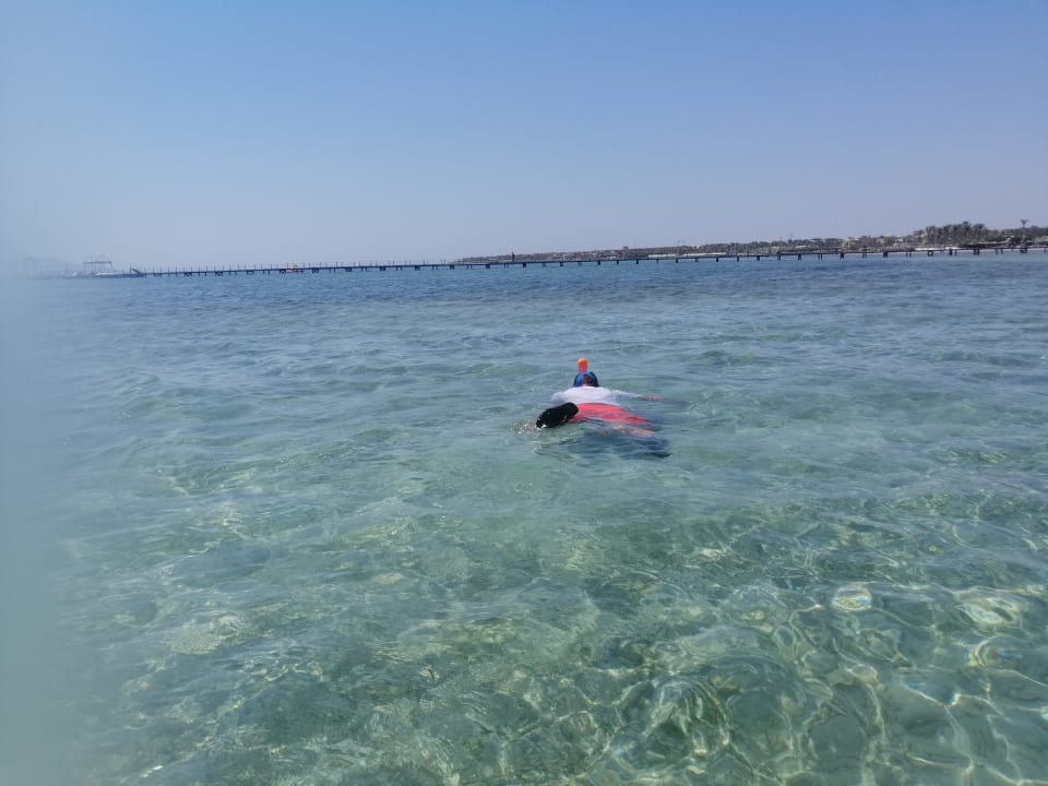 Strand Coral Sea Waterworld