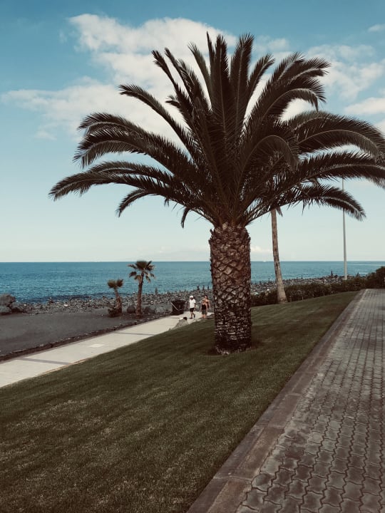 Ausblick Hotel Riu Palace Tenerife