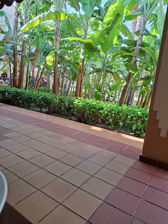 Gartenanlage Hotel Riu Funana