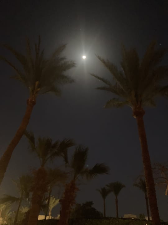 Sonstiges Jaz Makadi Oasis Resort