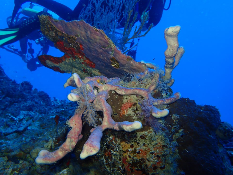 Sport & Freizeit Embudu Village