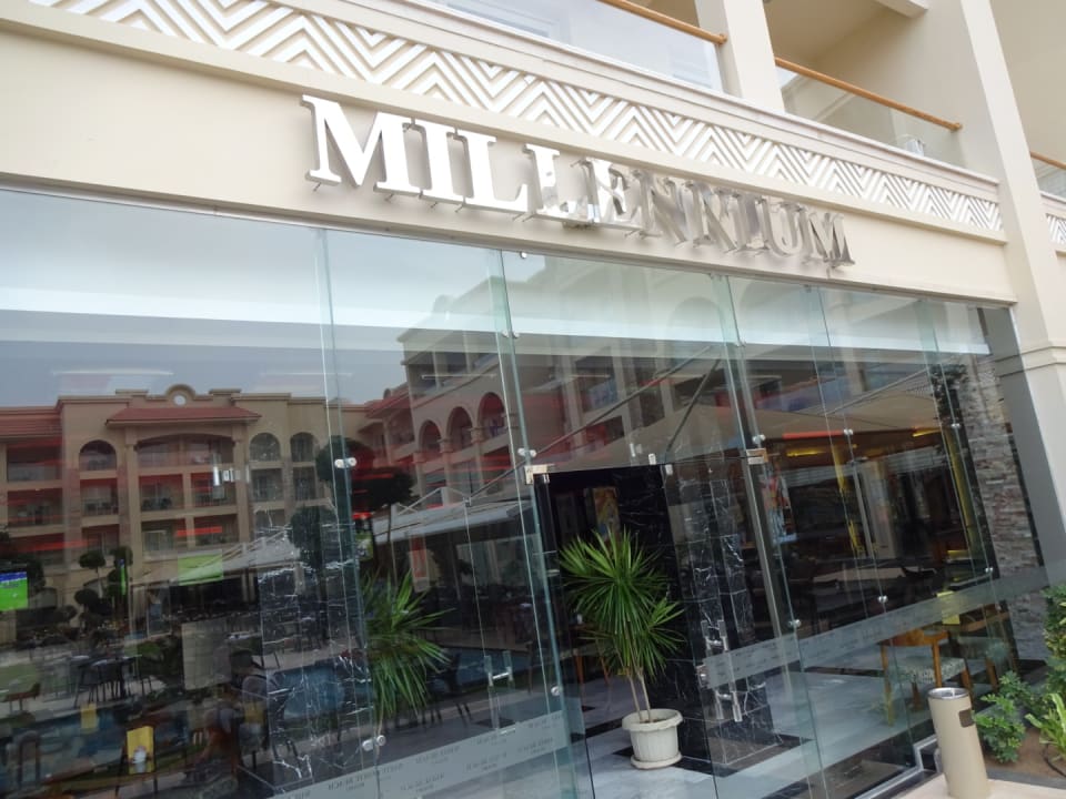 Gastro Pickalbatros White Beach Resort - Hurghada