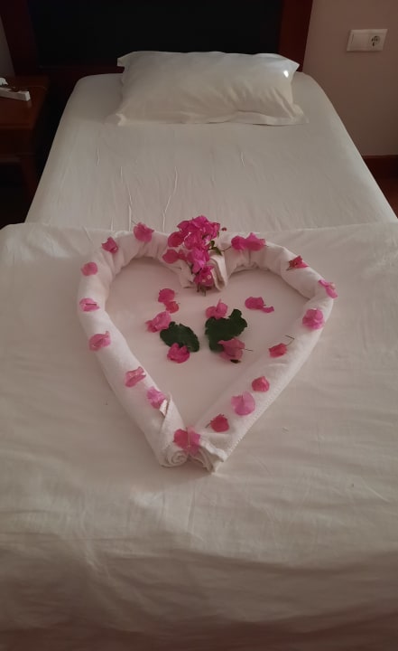 Zimmer Bodrum Holiday Resort & Spa