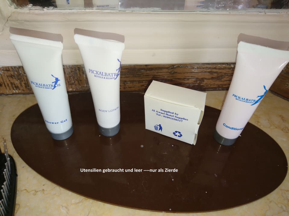 Zimmer Pickalbatros Citadel Resort