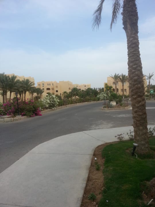 Von der Rezeption aus JAZ Neo Saraya Palms